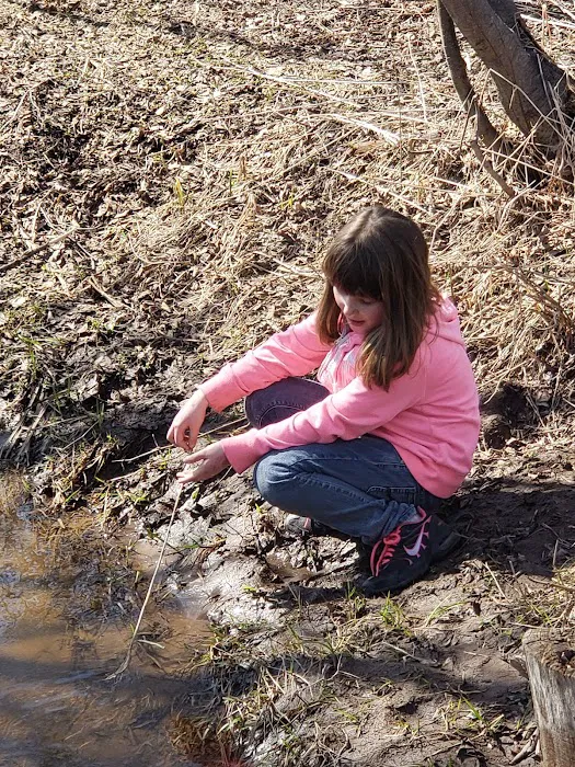 Zenith Terrace Picture 7