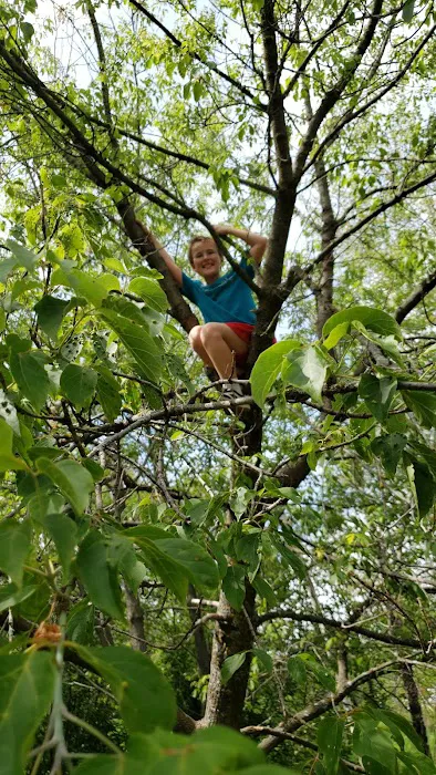 Zenith Terrace Picture 6