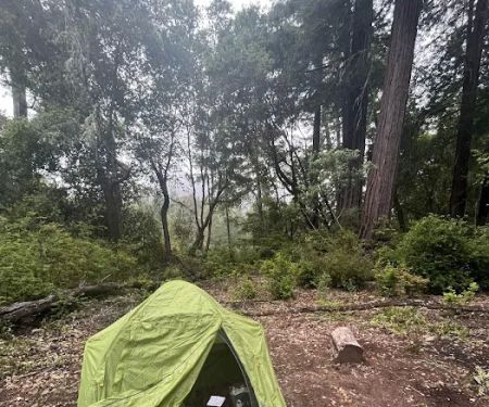 Shaw Flat Trail Camp