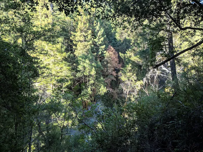 Shaw Flat Trail Camp Picture 5