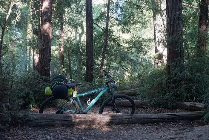 Shaw Flat Trail Camp Picture 2