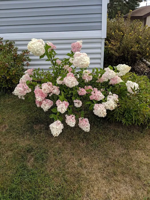 Vintage Acres Picture 10