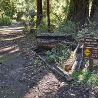 Tarwater Trail Camp ico