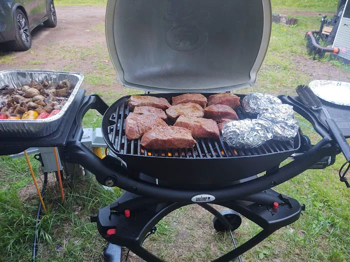 Park RV Camping Picture 2