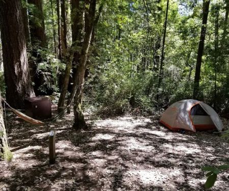 Butano Trail Camp
