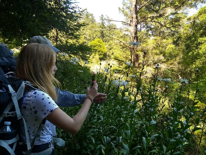 Butano Trail Camp Picture 3