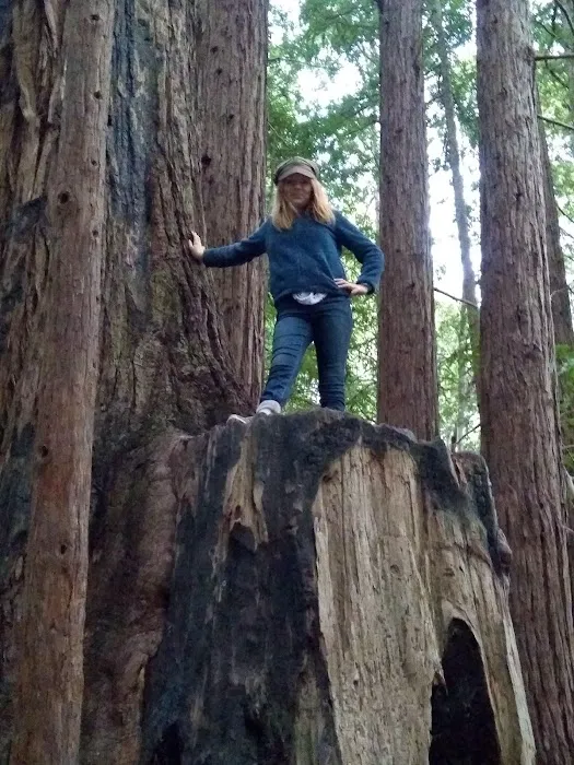 Butano Trail Camp Picture 2