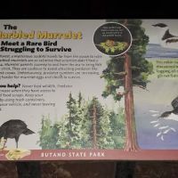 Ben Ries Campground ico