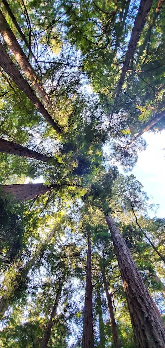 Ben Ries Campground Picture 2