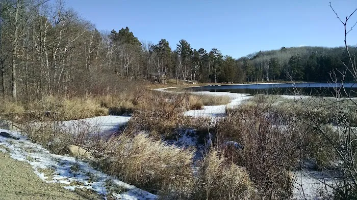 Scenic Lodging Picture 3