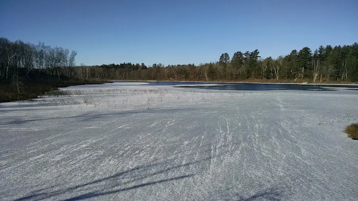 Scenic Lodging Picture 5