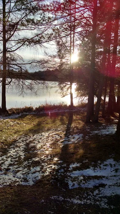 Scenic Lodging Picture 7