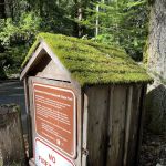 Portola Redwoods State Park Campground