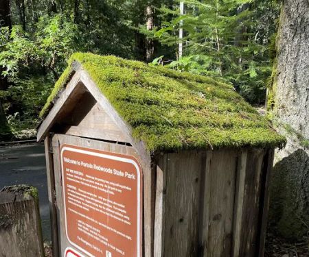 Portola Redwoods State Park Campground