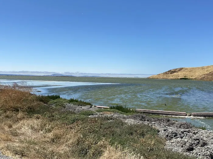 Dumbarton Quarry Campground on the Bay Picture 4
