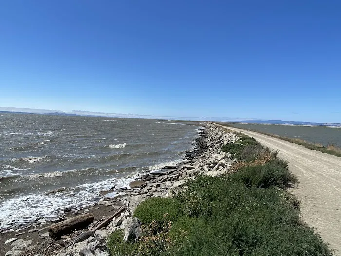 Dumbarton Quarry Campground on the Bay Picture 8