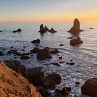 Bear Harbor Camp ico