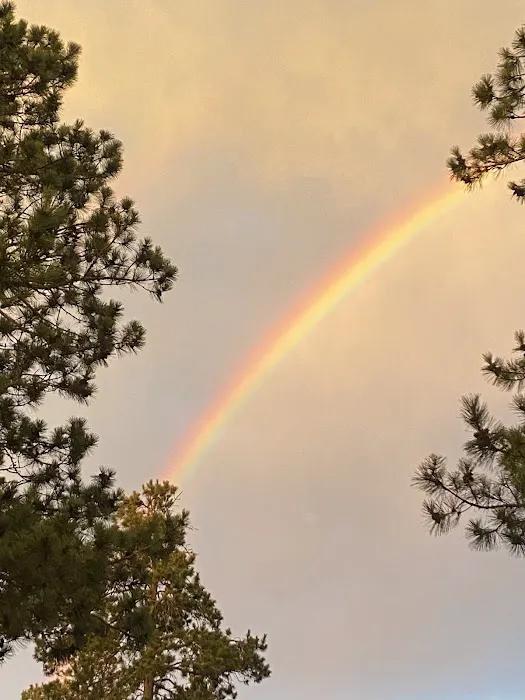 Lake George RV Park Picture 4