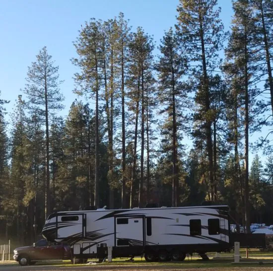 Willow Acres a Park Rapids RV Resort Picture 2