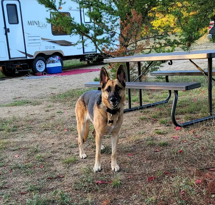 Willow Acres a Park Rapids RV Resort Picture 9