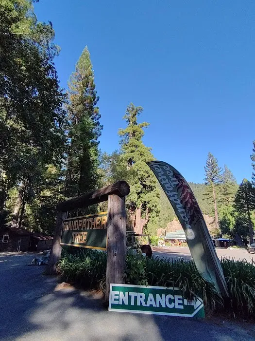 Madrone Campground Picture 1