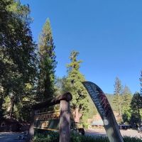 Madrone Campground ico