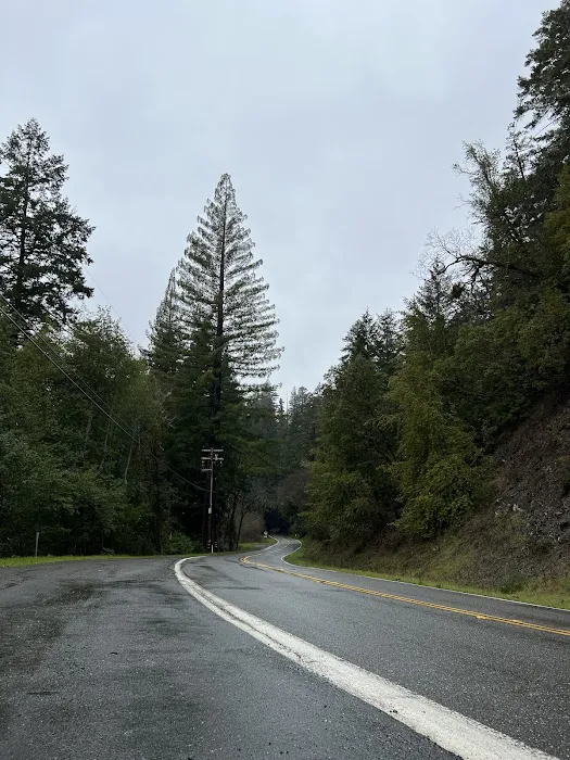 Madrone Campground Picture 9