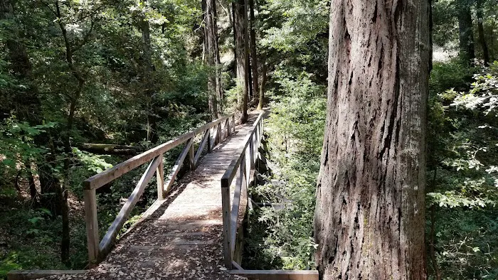 Huckleberry Campground Picture 5