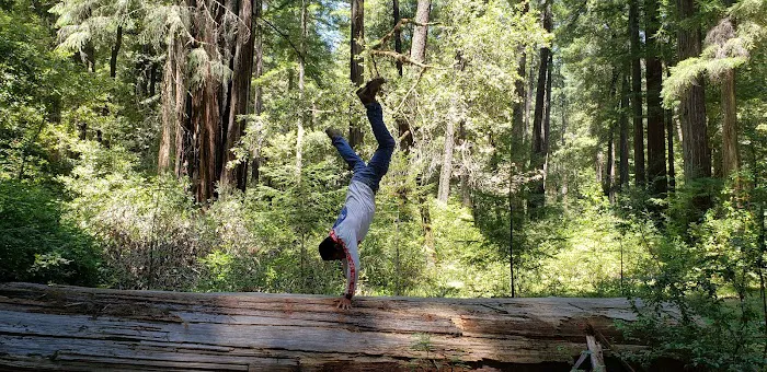Huckleberry Campground Picture 4