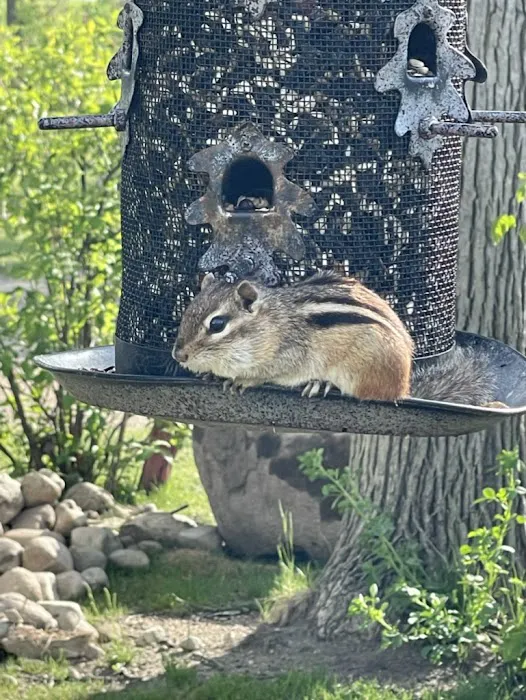 Royal Oaks RV Park Picture 2