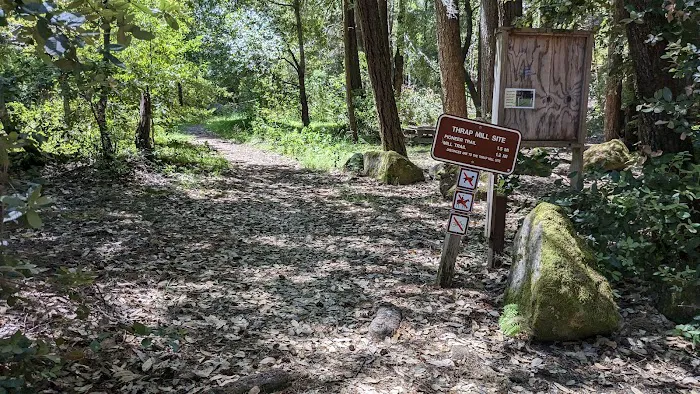 Benbow SRA Campground Picture 5