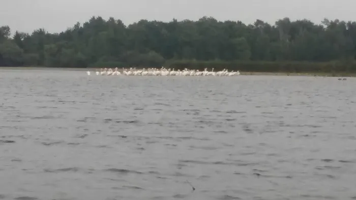 Birchlane & Country Lane Mhc Picture 2