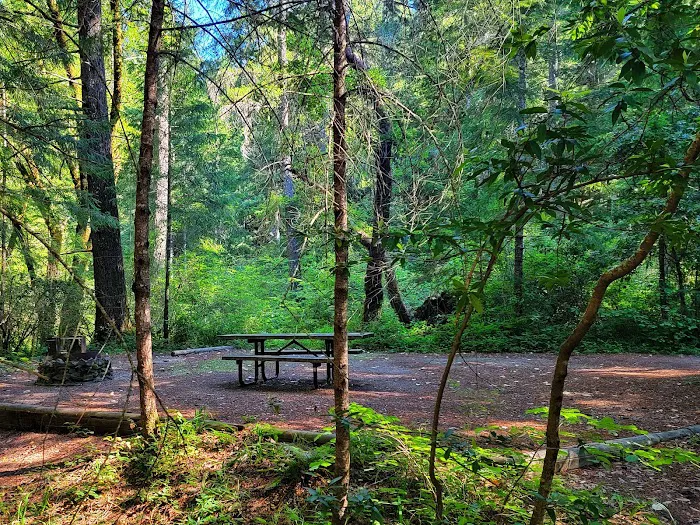 Wailaki Campground Picture 3