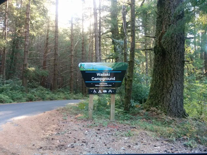Wailaki Campground Picture 6