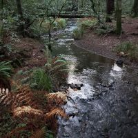Nadelos Campground ico