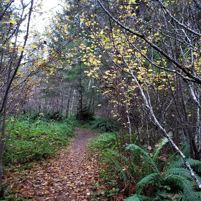 Nadelos Campground Picture 7