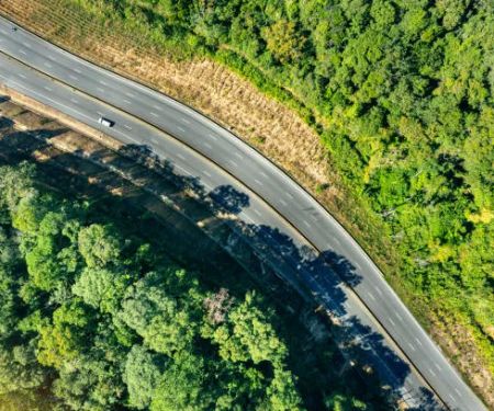 US Sierra National Forest
