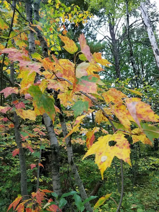 Northern Trailer Park Picture 1