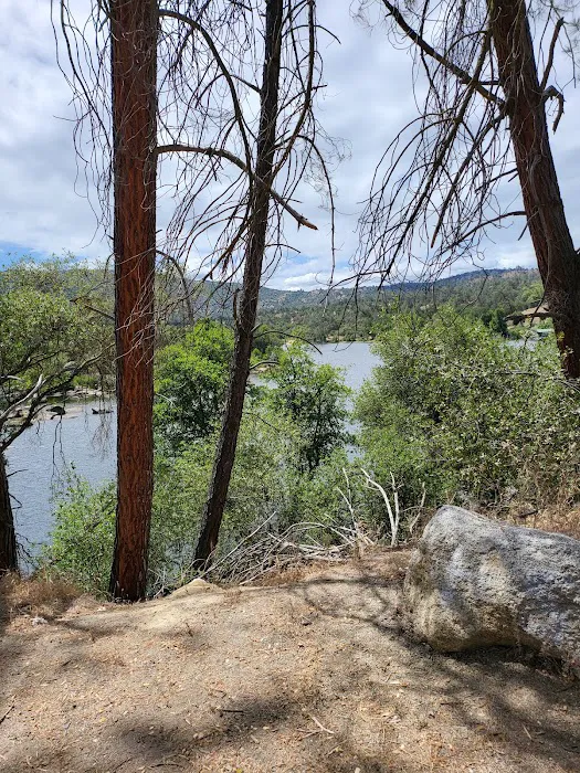 Smalley Cove Campground Picture 8