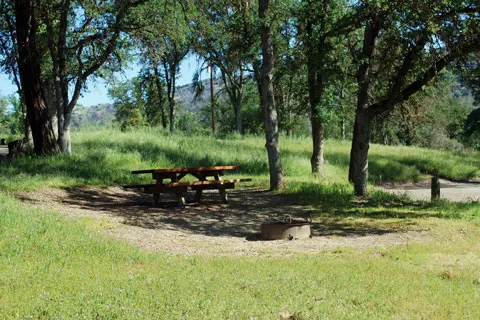Smalley Cove Campground Picture 4
