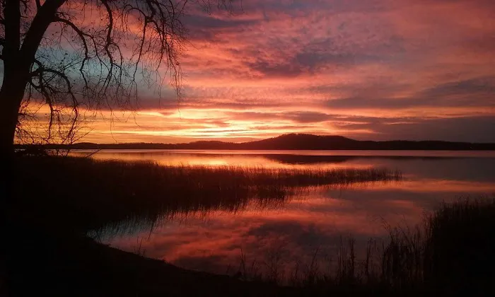 Ly-Nee RV Sites, LLC Picture 4