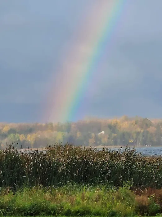 Lakeview RV & Resort Picture 5