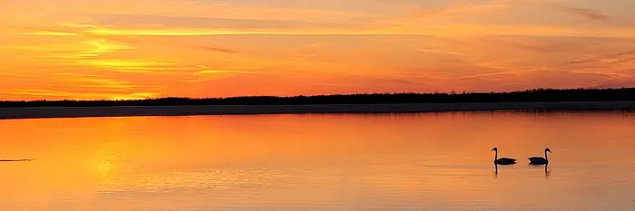 Lakeview RV & Resort Picture 4