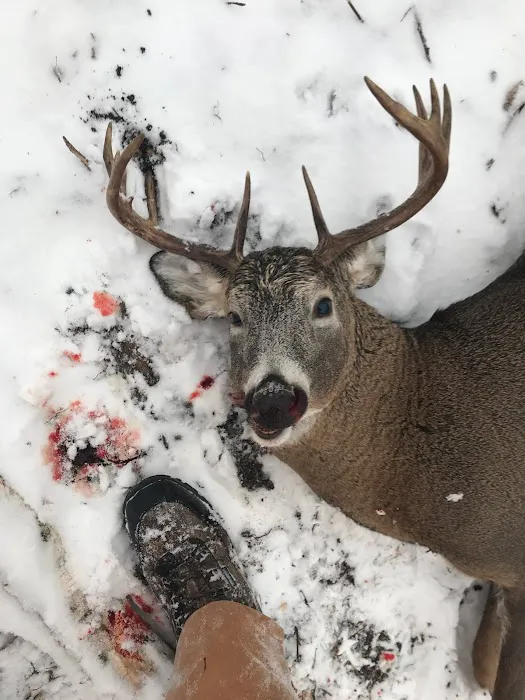 Riechen's Seasonal RV Park Picture 9