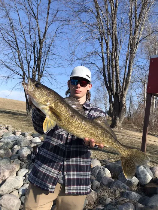 Riechen's Seasonal RV Park Picture 6