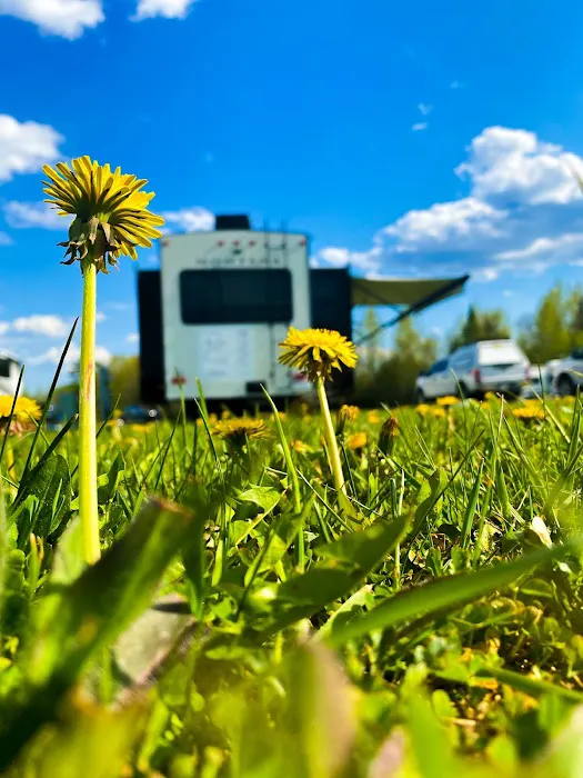 Blueberry Hills RV Park Picture 4