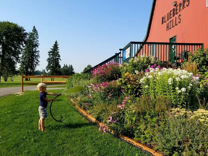 Blueberry Hills RV Park Picture 8