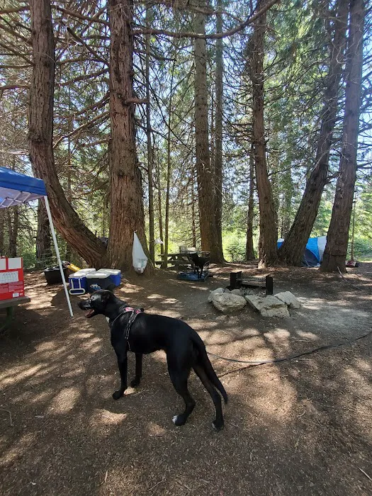 Whiskers Campground Picture 1