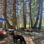 Whiskers Campground