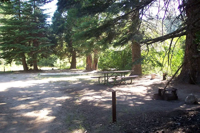 Whiskers Campground Picture 3